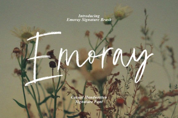 Emoray: A Signature Font for Campaigns