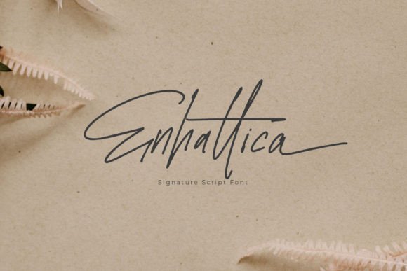 Enhattica: A Designer’s Honest Review