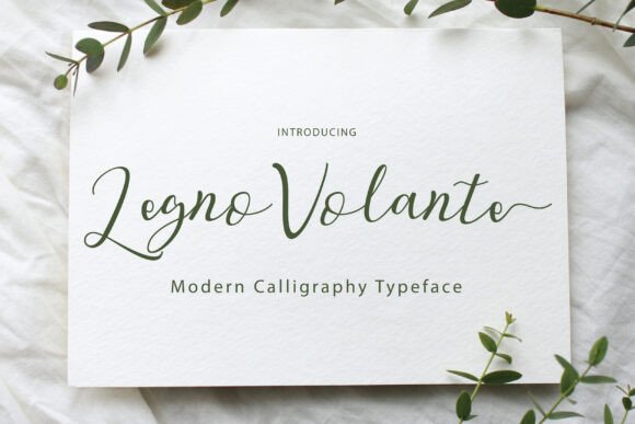 Legno Volante Font: Elevate Your Campaign Visuals