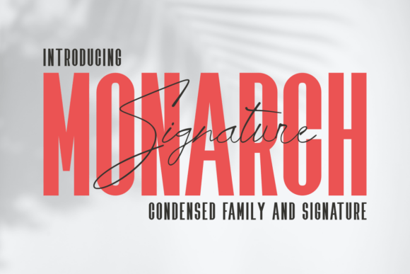 Monarch Signature: A Designer’s Honest Review