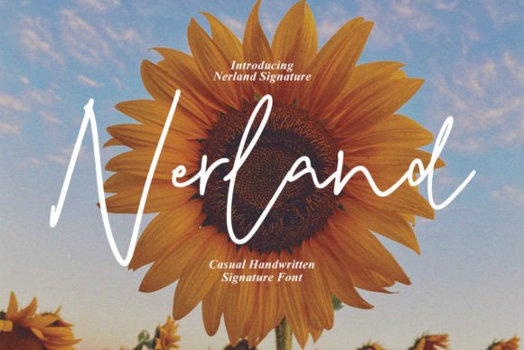 Nerland: A Designer’s Honest Review of This Script Gem