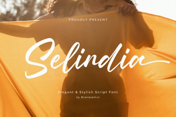 Selindia: The Script Font for Modern Brands