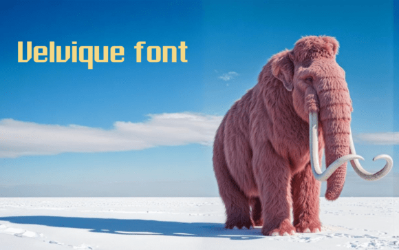 Velvique: A Typeface for Bold Campaigns